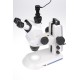 Camera universala microscop de 5 Mpx - Cu adaptoare pentru oculare de 23, 30 si 30,5 mm diametru si adaptor pentru C-Mount - AM7025X